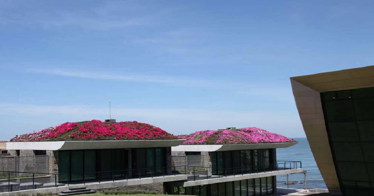 Playa Vik Jose Ignacio Villa Exterior photo